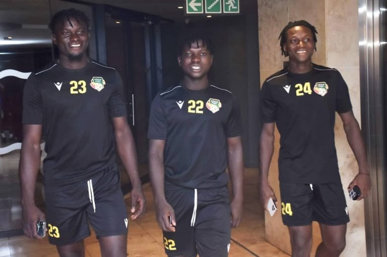 Échos des Guépards : À la Conquête de l’Afrique du Sud et du Lesotho